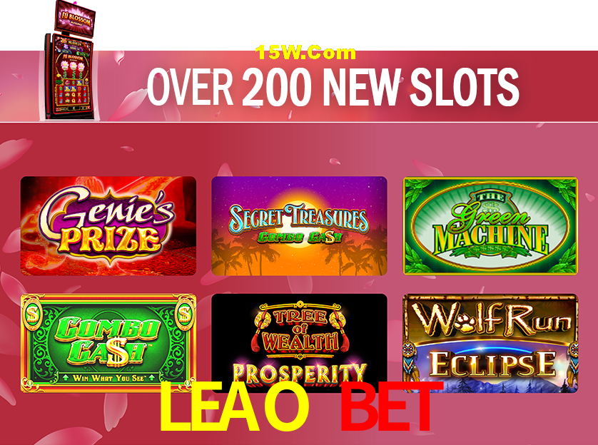 Bonus Features LEAO BET